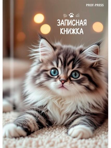 Блокнот А7 64 л. тв. обл. клетка ПП "Милые котята"