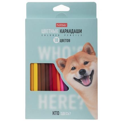 Карандаши 18 цв. Х "Кто здесь?" трехгр.