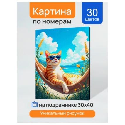 Картина по номерам 30*40 см ПП "Кот на отдыхе" подрамник