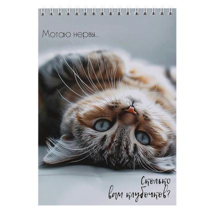 Скетч-бук А5 греб. 40 л. Кокос "Кошачья жизнь" 100 г/м2