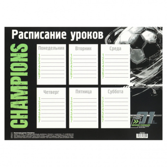 Расписание уроков А4 Кокос "Чемпионы"