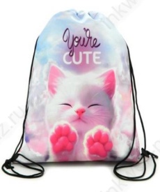 Мешок для обуви 1 отд. 34*42 см Intelligent "You cute"